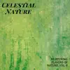 Celestial Nature - Nurturing Flavors of Nature, Vol. 9 album lyrics, reviews, download