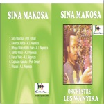 Sina Makosa
