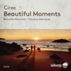 Beautiful Moments - Single