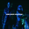 Never Know (feat. SHIRIN DAVID) by Luciano iTunes Track 1