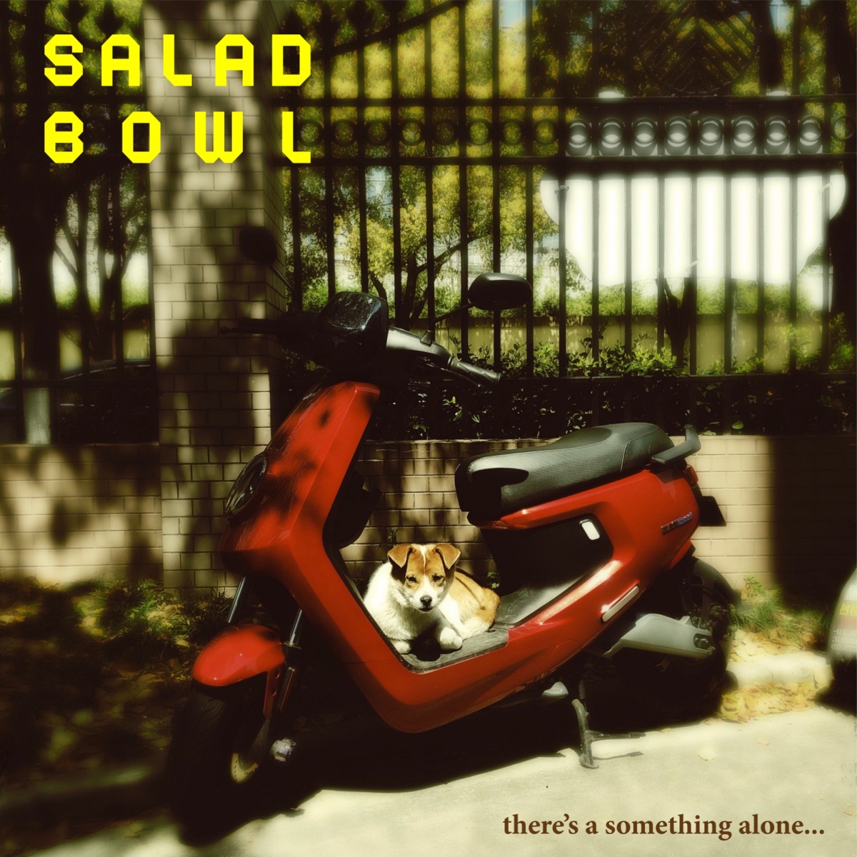 Salad Bowl – there’s a something alone…