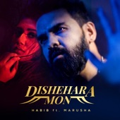 Dishehara Mon (feat. Marusha) artwork