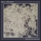 Darlingside - Sol Y Momma lyrics