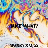 Take What? - Single