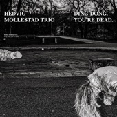 Hedvig Mollestad Trio - Gimbal