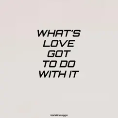 What’s Love Got to Do with It Song Lyrics