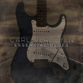 Hard Times - Carl Verheyen