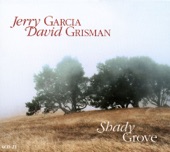 Jerry Garcia & David Grisman - Dreadful Wind And Rain