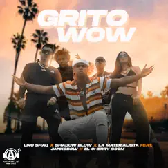 Grito Wow (feat. Jankobow & El Cherry Scom) - Single by Liro Shaq, Shadow Blow & La Materialista album reviews, ratings, credits
