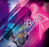Flamingo Nights: Vol. 3 Amsterdam (feat. Deniz Koyu) artwork