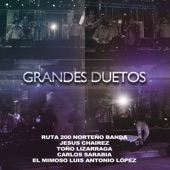 Grandes Duetos artwork