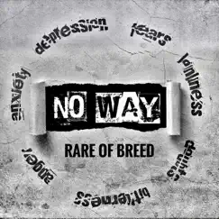 No Way - Single by Rare of Breed album reviews, ratings, credits