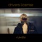 Drivers License - Ali Brustofski lyrics