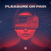 Pleasure or Pain (Extended Mix) artwork