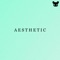 Aesthetic - Kim Bo lyrics