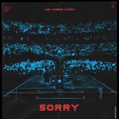 Sorry (Albert Vishi Remix) artwork