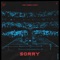 Sorry (Albert Vishi Remix) artwork