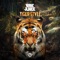 Tiger Style - Vinyl Junkie lyrics