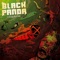 Submarino de Colegas - Black Panda lyrics