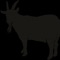 Bi-Polar - EBE Kushy lyrics