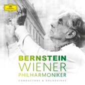 Leonard Bernstein & Wiener Philharmoniker artwork