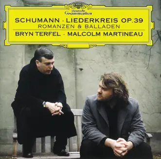 Du Bist Wie Eine Blume, Op. 25, No. 24 by Bryn Terfel & Malcolm Martineau song reviws