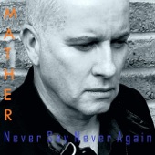 Never Say Never Again artwork