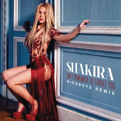 Can't Remember to Forget You (Wideboys Remix) - Single - Shakira