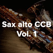 Cidadão dos céus (Sax CCB) artwork