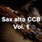 Cidadão dos céus (Sax CCB) artwork