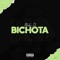 Bichota - Mahu Dj lyrics