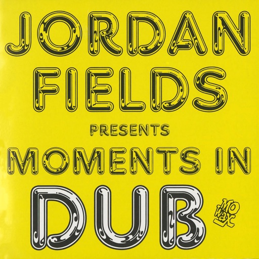 Moments In Dub by Jordan Fields