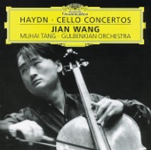 Cello Concerto in D, H.VIIb No. 2: 2. Adagio artwork