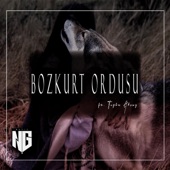 Bozkurt Ordusu (feat. Tuğba Aksoy) artwork