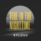 Vibe in the Nighttime - Kylous lyrics