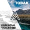 Erised (Teom Remix) - Ric Niels lyrics
