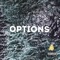 Options (feat. Z Munna & JusJayR) - Phenom da Don lyrics