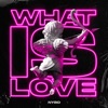 What Is Love - Single