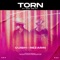 Torn (feat. Sam Welch) - REZarin, Cuish & Sam Welch lyrics