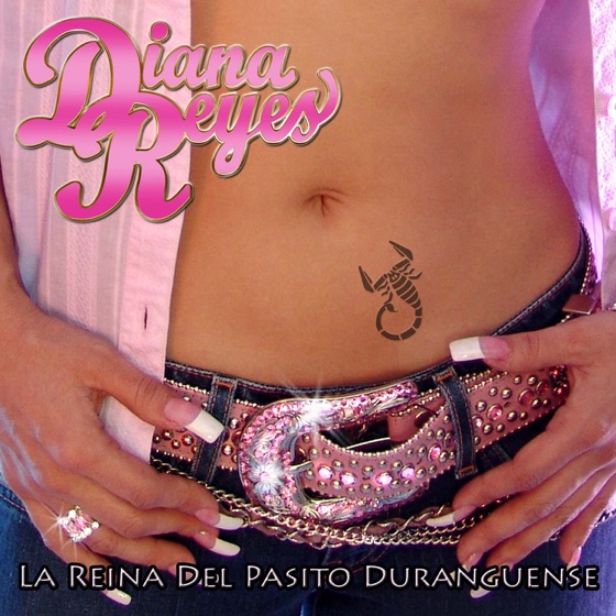 Cover artwork for Mi Ranchito