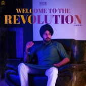 Welcome To the Revolution artwork