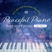 Starry sky piano that invites sleep artwork