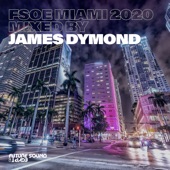 FSOE Miami 2020 (Mixed by James Dymond) artwork
