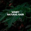 Windy Natural Rain