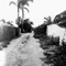 Bywater - Throwing Muses lyrics