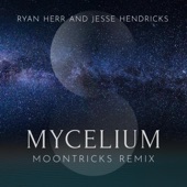 Mycelium (Moontricks Remix) artwork