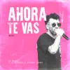 Y Ahora Te Vas (Remix) - Single album lyrics, reviews, download