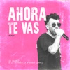Y Ahora Te Vas (Remix) - Single, 2020