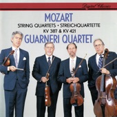 String Quartet No. 14 in G, K. 387: 1. Allegro vivace assai artwork