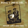 Forró e Choro Vol. 1